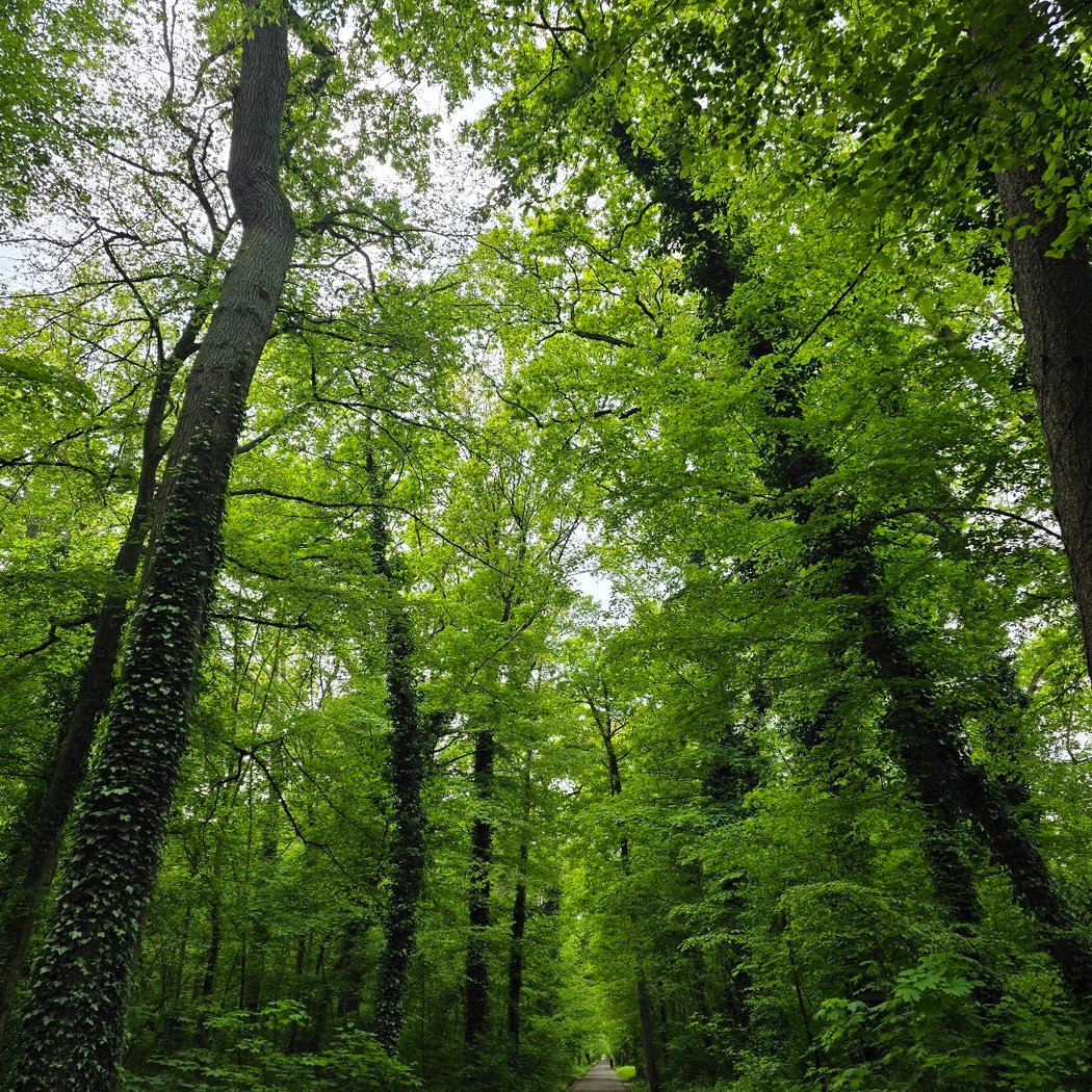 Plan du Parc de Sevran - Entrée Vert-Galant 2